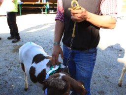 2019_ausstellung polling_682